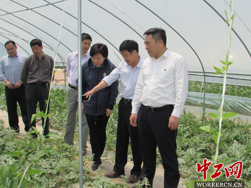 河南食用菌种植技术培训标杆：商水县卫东蘑菇合作社的20年坚守(图1)