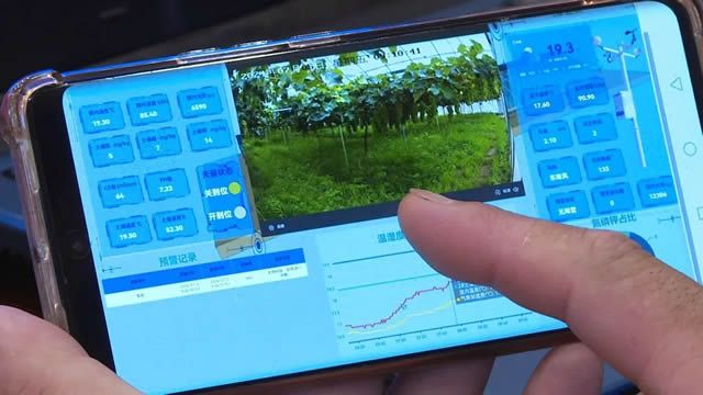 玉林玉州区以科技赋能设施农业推动产业高质量发展(图1)