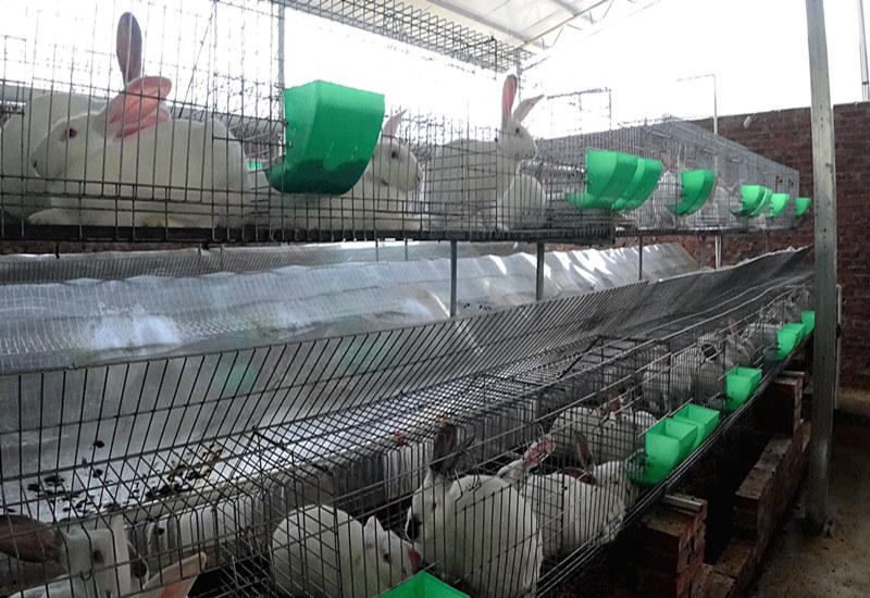 食品健康-2026中国（福州）水产养殖设备与技术展览会(图1)