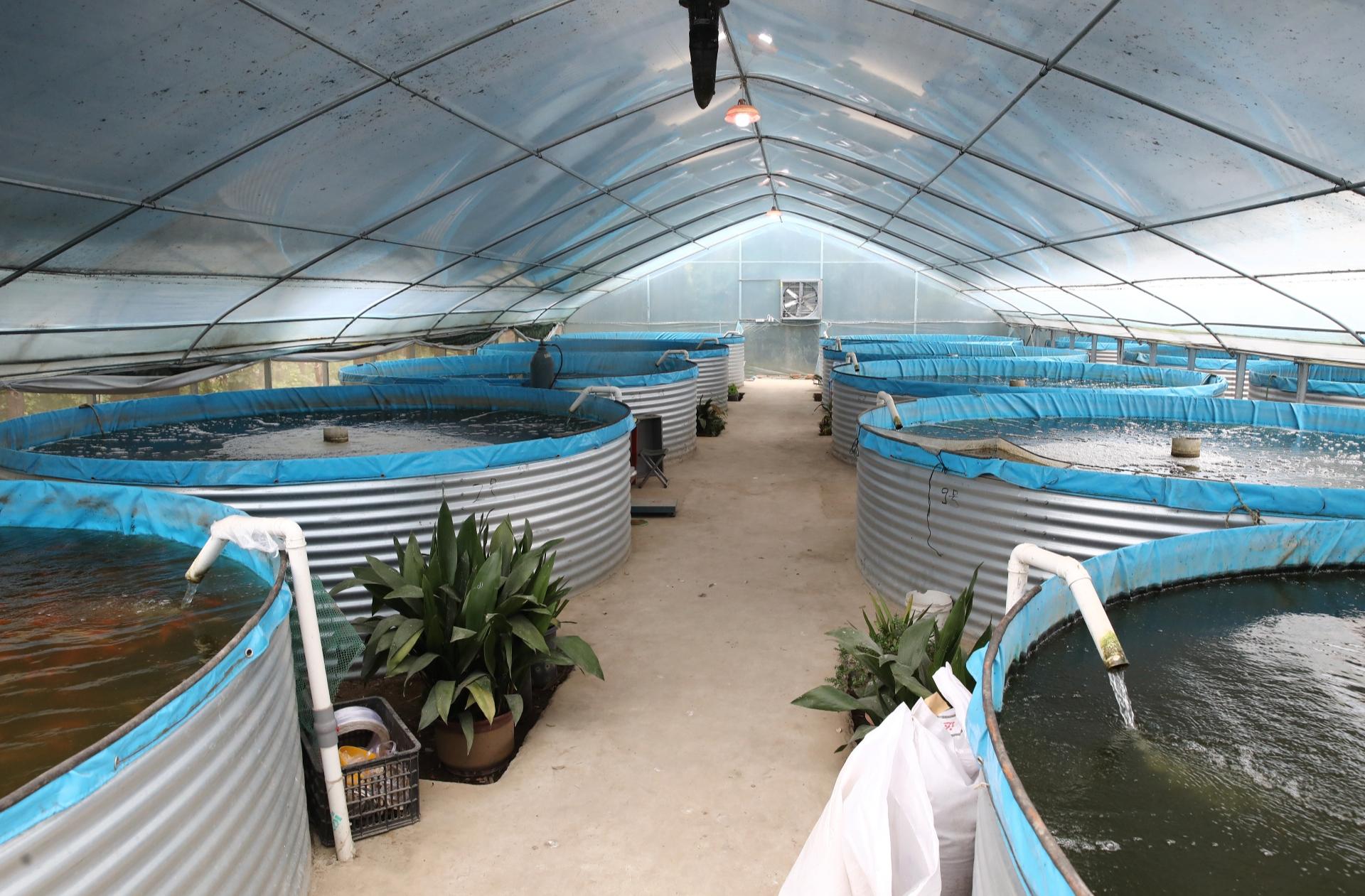 农业保险十问十答(图1)