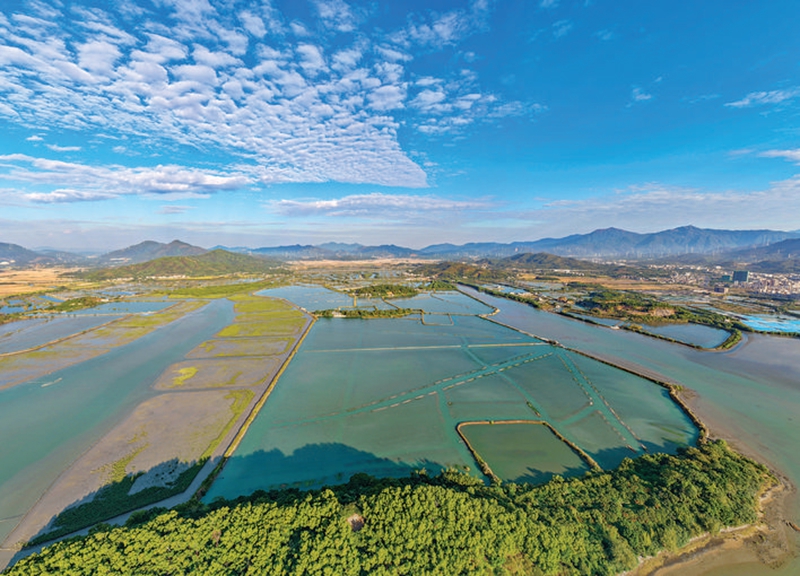 分析评论-中国日报网(图1)