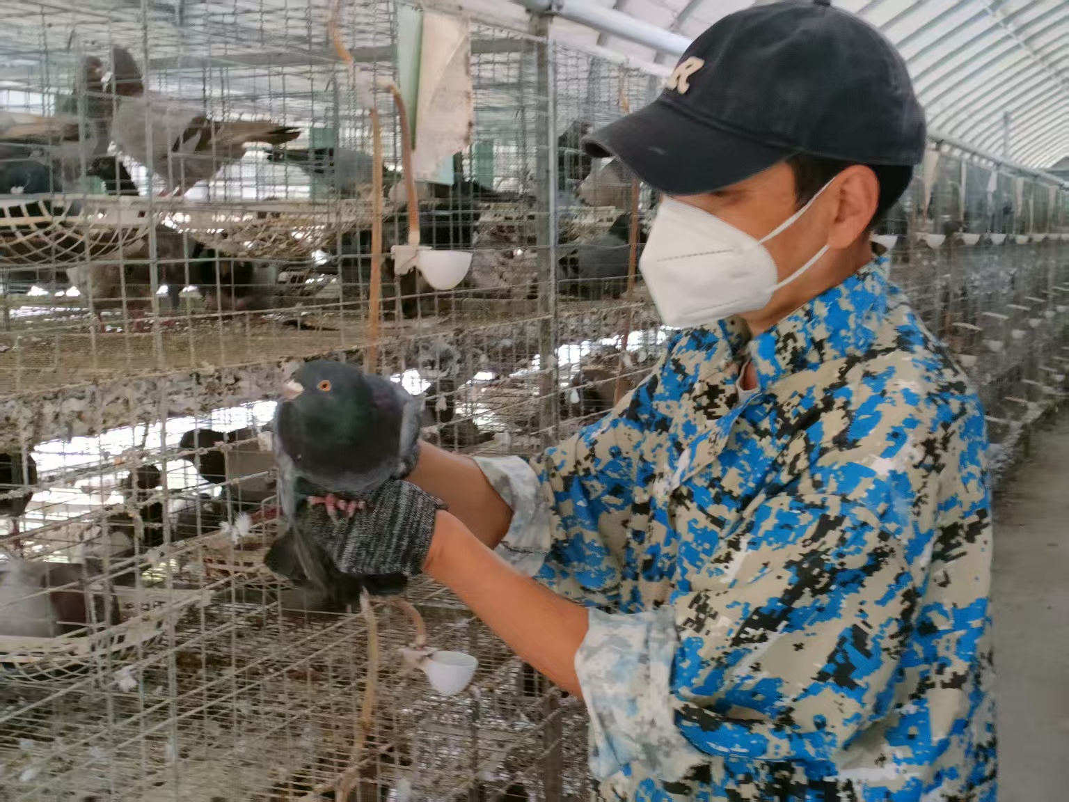 科技小院扎根乡土茁壮生长(深阅读)(图1)