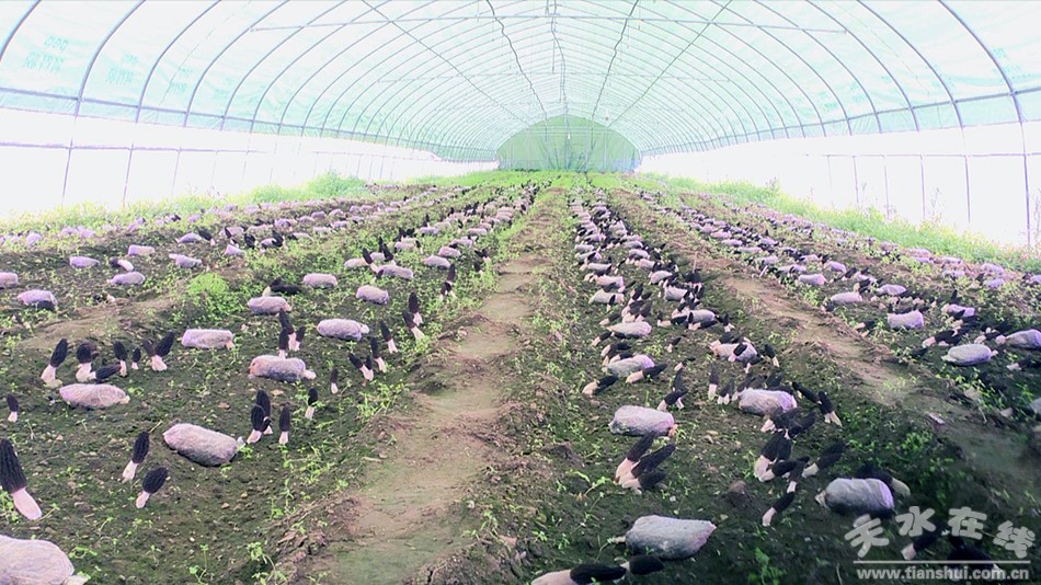 北京教育_中国网(图1)