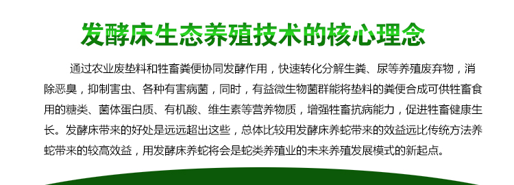 四家村分红为何持续增长19年(图1)