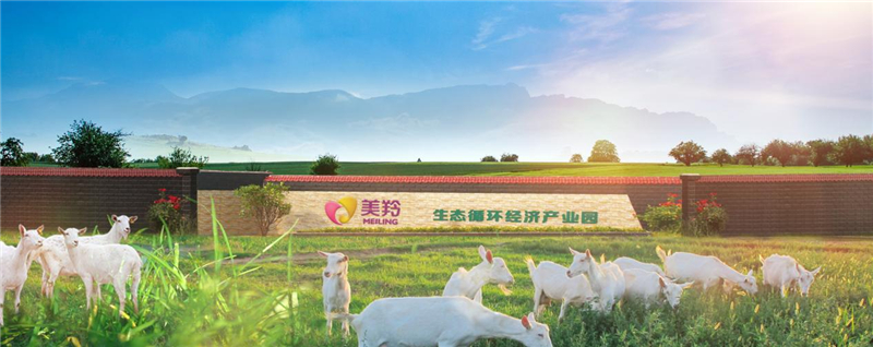 匠心筑梦数智赋能——廖忠智数字技术技能大师工作室打造高技能人才培养的“江苏样板”(图1)