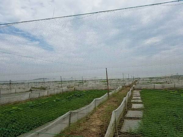 多方施策守护好生态系统(图1)