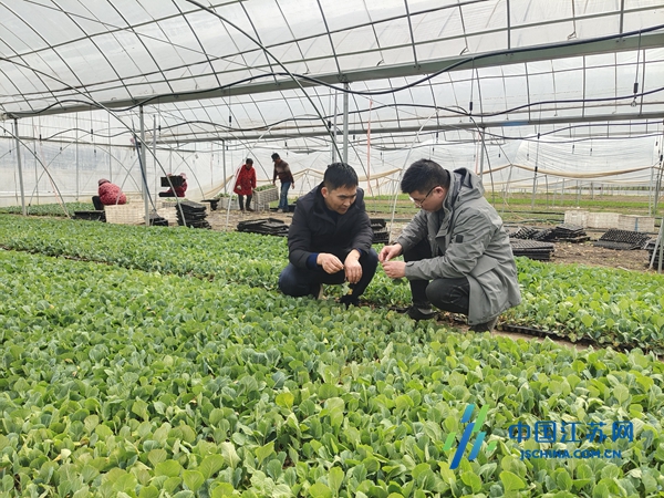 最美“新农人”风采|李志强:扎根黑土地筑梦新农村(图1)