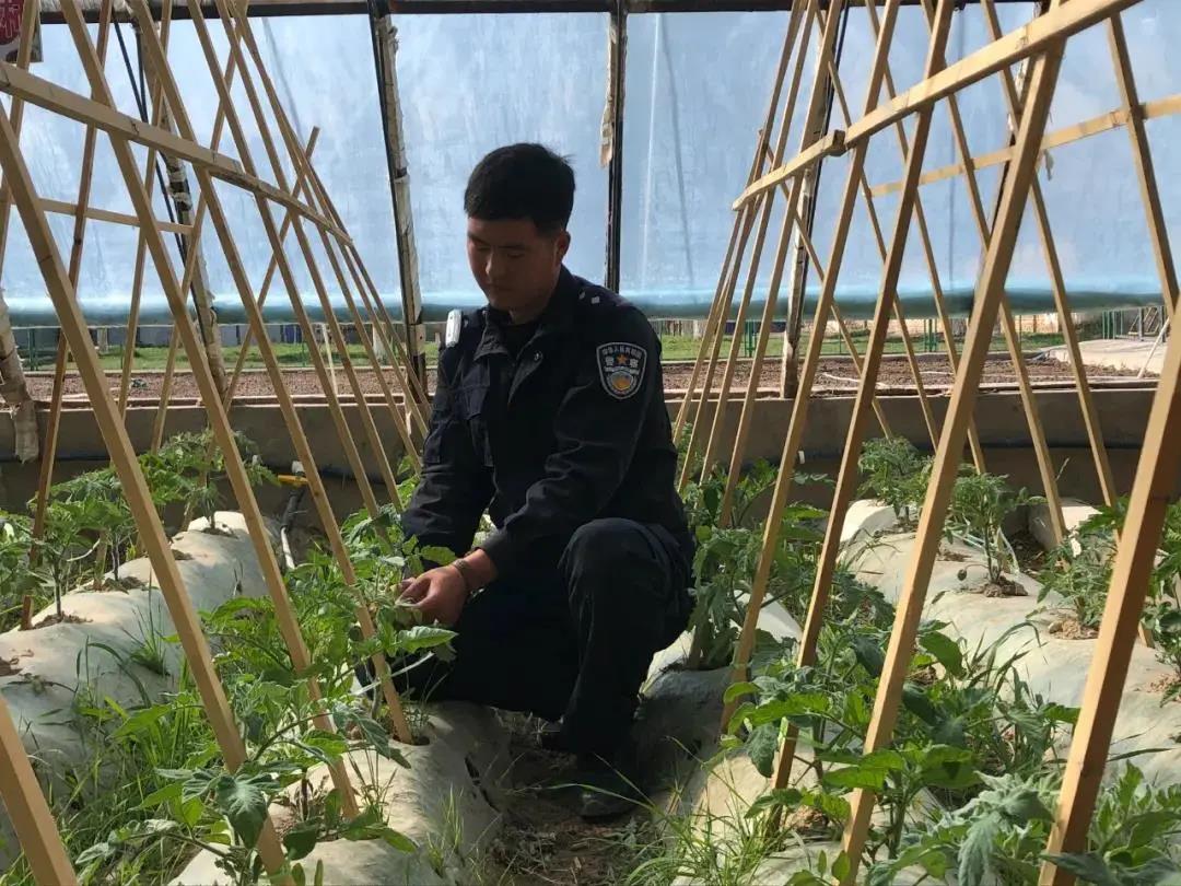 最美“新农人”风采|边振华:十七载深耕黑土全链条带富乡邻(图1)