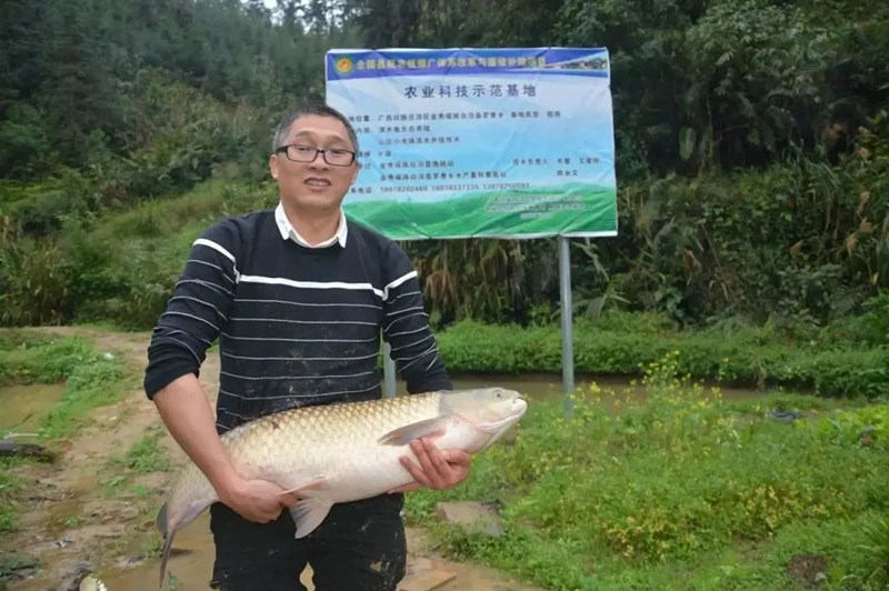 沈阳“新农人”角逐“金牌推荐官”(图1)