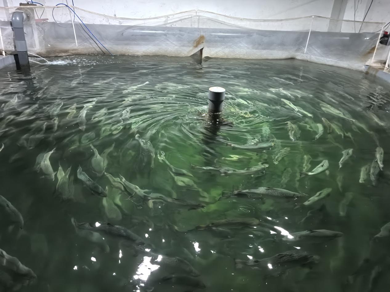 【重点推荐】当前我国制度理论研究的重点是什么(图1)