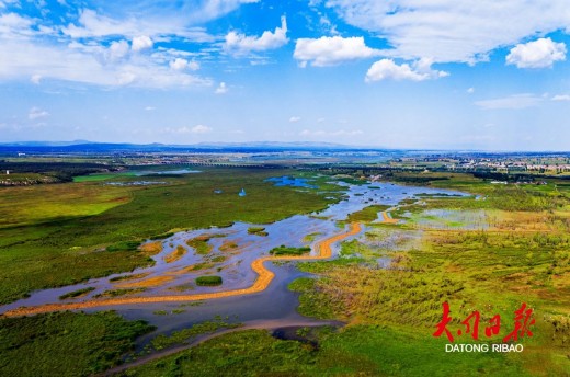 虫口“夺粮”学生实践团智斗迁飞害虫(图1)