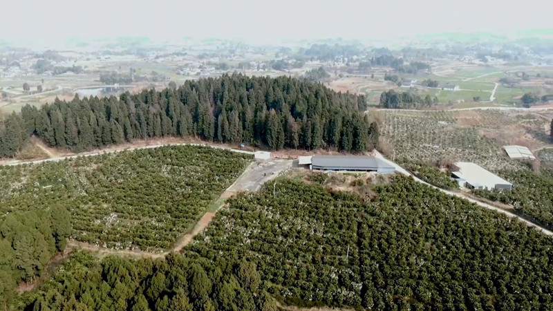 泰安市水文中心:强化农业用水典型区监测有力提升用水统计数据精度(图1)