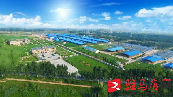 墩头镇仇湖村:生态健康养殖培训进村筑牢水产品质量安全防线(图1)