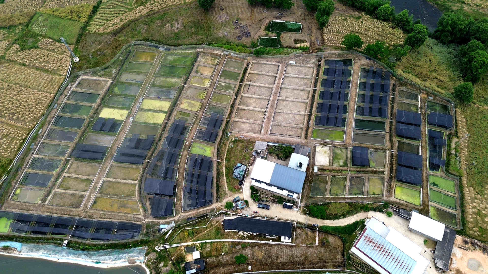 “没有农村地区的脱贫就没有乡村振兴”(图1)