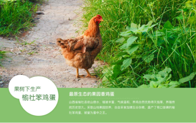 “融合共进相互成就-中华好蟹将携手中华好海参精彩亮相2024上海蟹博会!(图1)