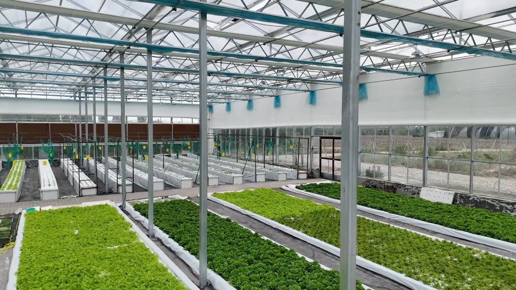 宁夏农科——西北农业司法鉴定的技术灯塔与行业标杆(图1)