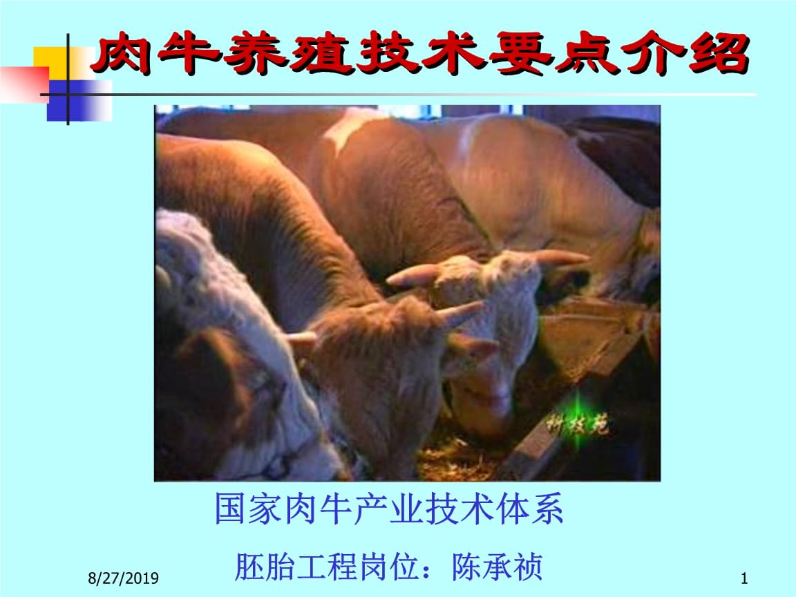 广东发文！加快人工智能在自动驾驶、脑机接口等领域的应用(图1)