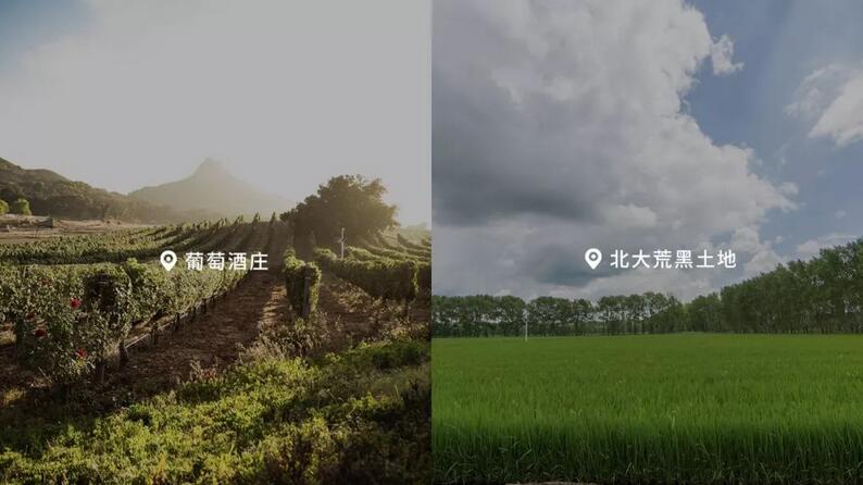 智慧农业平台:一体化农业智能监测管控体系解析(图1)