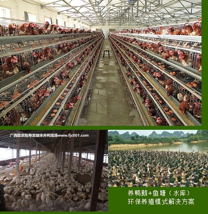 隧道股份：公司下属上海城建城市运营（集团）有限公司承担着上海绝大多数的市属道路和高速公路等运营管养业务(图1)