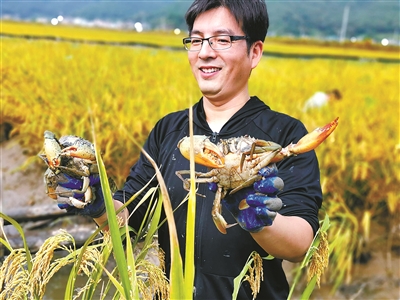 循环水养殖石斑鱼前景如何(图1)