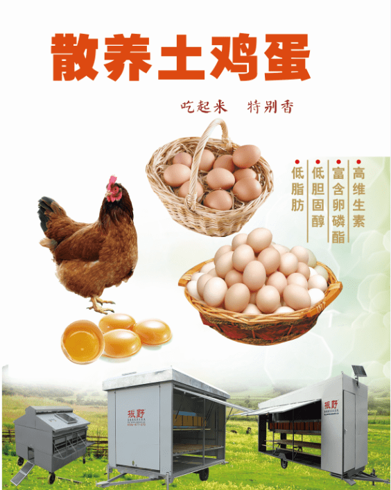 校地携手赋能中非农业合作福建高校探索中非禽业协同新路径(图1)