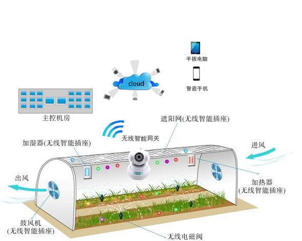 为持续推动乡村全面振兴提供保障(图1)