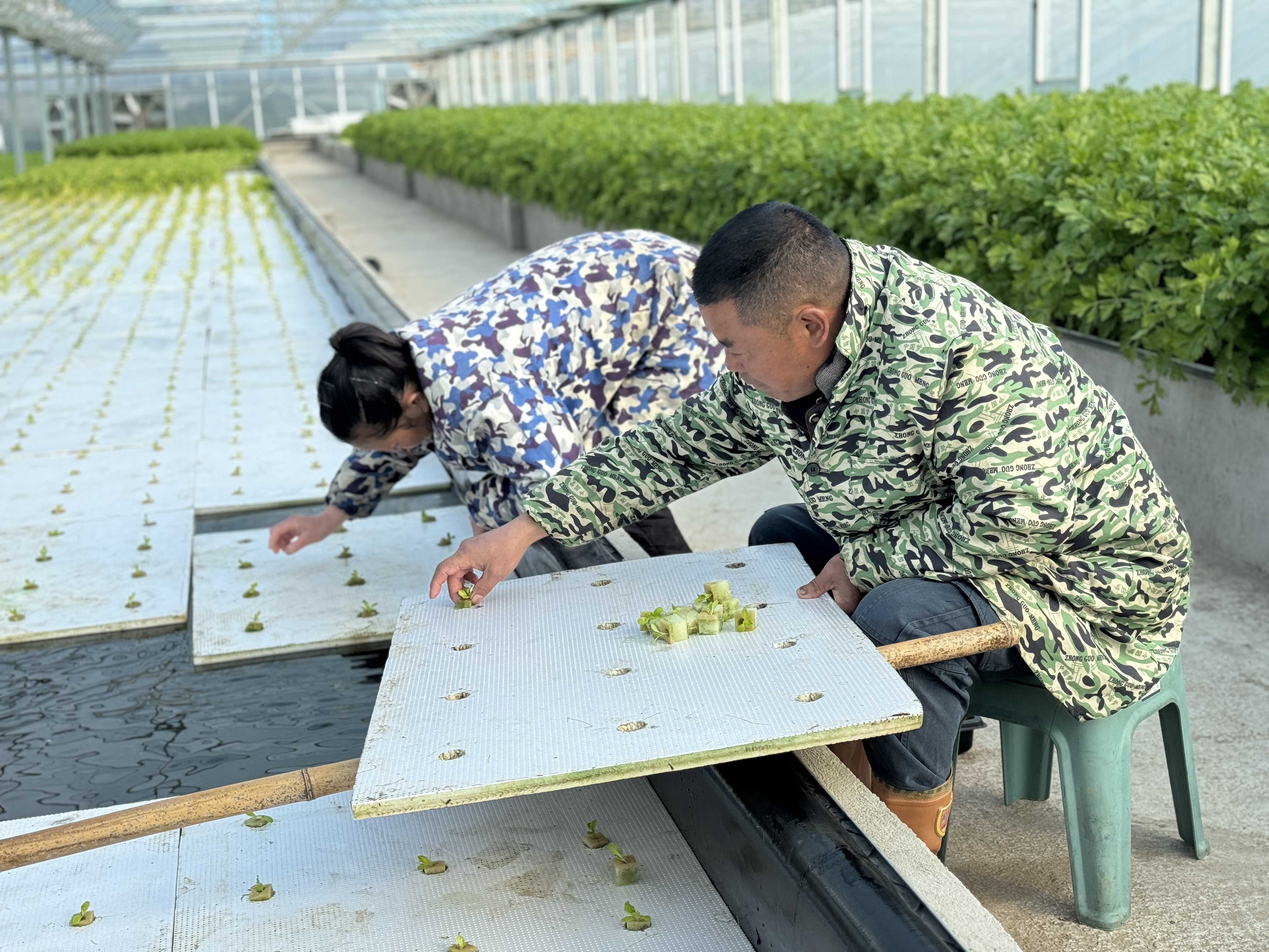 城口县林业局关于县政协十届二次会议第120号提案的复函(图1)
