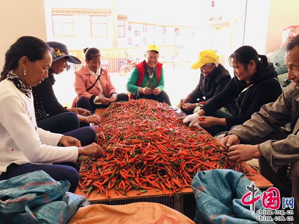 这里的鸵鸟蛋供不应求(图1)