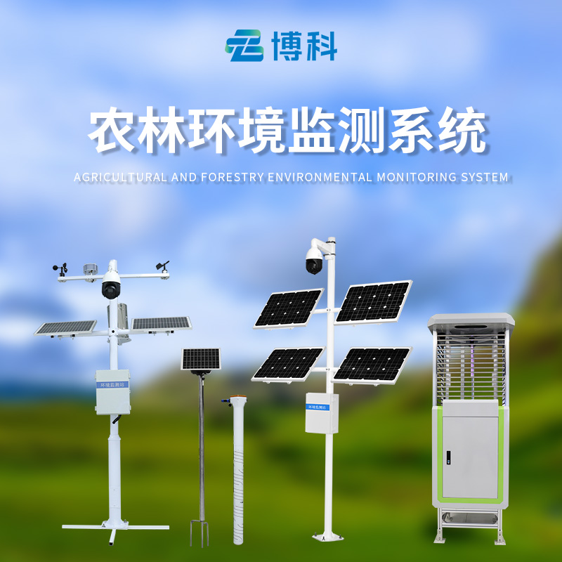 河南着力做好“三农”工作因地制宜推进乡村全面振兴(活力中国调研行)(图1)